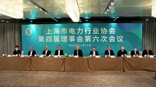 海鄭實業(yè)再次擔(dān)任上海市電力行業(yè)協(xié)會理事會會議監(jiān)票人